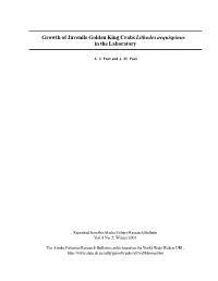 Growth of Juvenile Golden King Crabs Lithodes Aequispinus in the Laboratory