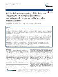 Substantial Reprogramming of the Eutrema Salsugineum