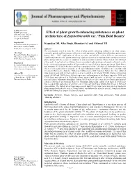 Effect of Plant Growth Enhancing Substances on Plant Architecture of Euphorbia Milii Var