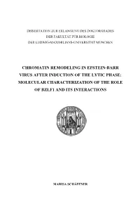 Chromatin Remodeling in Epstein-Barr Virus After Induction of the Lytic Phase: Molecular Characterization of the Role of Bzlf1 and Its Interactions