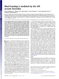Word Learning Is Mediated by the Left Arcuate Fasciculus
