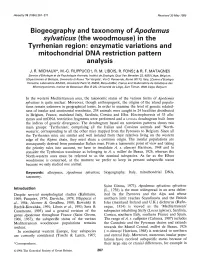 Biogeography and Taxonomy of Apodemus Sylvaticus (The Woodmouse) in the Tyrrhenian Region: Enzymatic Variations and Mitochondrial DNA Restriction Pattern Analysis J