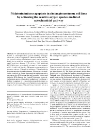 Melatonin Induces Apoptosis in Cholangiocarcinoma Cell Lines by Activating the Reactive Oxygen Species-Mediated Mitochondrial Pathway