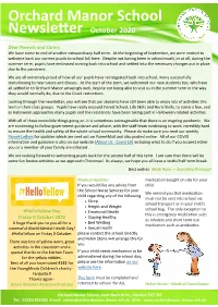 Newsletter October 2020