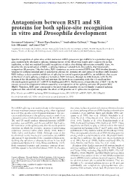 Antagonism Between RSF1 and SR Proteins for Both Splice-Site Recognition in Vitro and Drosophila Development