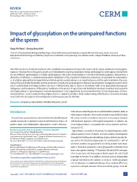 Impact of Glycosylation on the Unimpaired Functions of the Sperm