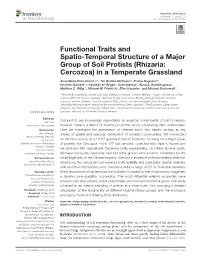 Functional Traits and Spatio-Temporal Structure of a Major Group of Soil Protists (Rhizaria: Cercozoa) in a Temperate Grassland