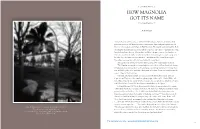 HOW MAGNOLIA GOT ITS NAME O