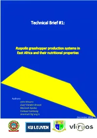 Technical Brief #1