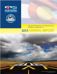 2013 Annual Report