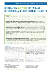 Destination Net Zero:Setting and Delivering Ambitious, Credible Targets