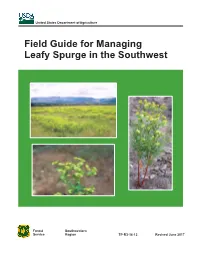 Field Guide for Managing Leafy Spurge in the Southwest
