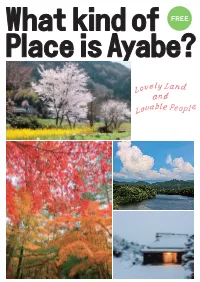What-Kind-Place-Is-Ayabe.Pdf