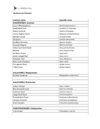 Andaman and Nicobar Common Name Scientific Name