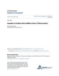 Attempts to Produce Alien Addition Lines in Triticum Durum