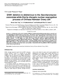 DSN1 Deletion Is Deleterious to the Saccharomyces Cerevisiae While Dsn1p Disrupts Nuclear Segregation Process of Chinese Hamster Ovary Cell