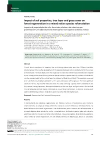 Impact of Soil Properties, Tree Layer and Grass Cover on Forest
