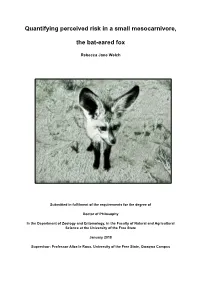 Quantifying Perceived Risk in a Small Mesocarnivore, the Bat-Eared