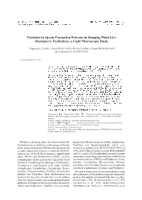 Variation in Sperm Formation Patterns in Jumping Plant-Lice (Hemiptera: Psylloidea): a Light Microscopic Study