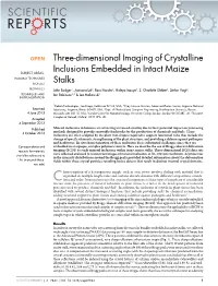 Three-Dimensional Imaging of Crystalline Inclusions Embedded In