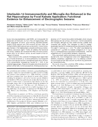 Interleukin-1Я Immunoreactivity and Microglia Are Enhanced in the Rat