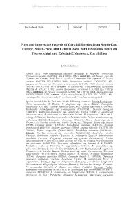 New and Interesting Records of Carabid Beetles from South-East