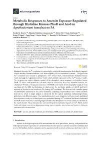 Metabolic Responses to Arsenite Exposure Regulated Through Histidine Kinases Phor and Aios in Agrobacterium Tumefaciens 5A