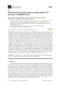 Dandelion Root Extract Induces Intracellular Ca Increases In