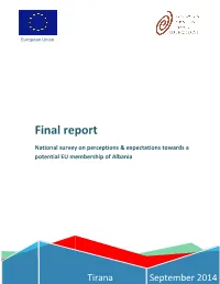 Executive Summary