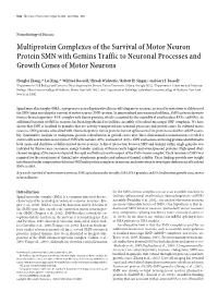 Multiprotein Complexes of the Survival of Motor Neuron Protein SMN with Gemins Traffic to Neuronal Processes and Growth Cones of Motor Neurons