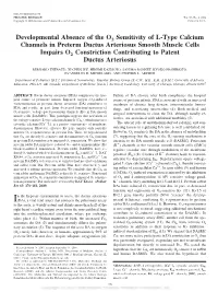 Developmental Absence of the O2 Sensitivity of L-Type Calcium