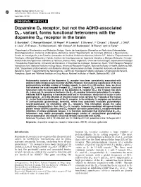 Dopamine D4 Receptor, but Not the ADHD-Associated D4.7 Variant, Forms Functional Heteromers with the Dopamine D2S Receptor in Th
