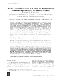 Eustachys Retusa (POACEAE) in SYSTEMS with INTENSIVE GLYPHOSATE APPLICATION1