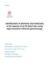 Identification of Elements and Molecules in the Spectra of an M Dwarf Star Using High Resolution Infrared Spectroscopy