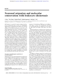 Neuronal Migration and Molecular Conservation with Leukocyte Chemotaxis