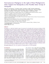 Support for Remipedia As the Possible Sister Group of Hexapoda Bjoern M