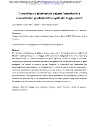 Controlling Spatiotemporal Pattern Formation in a Concentration Gradient with a Synthetic Toggle Switch
