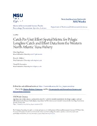 Catch Per Unit Effort Spatial Metric for Pelagic Longline Catch and Effort