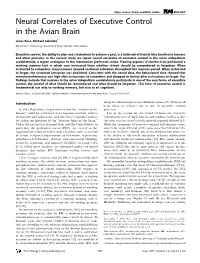 Neural Correlates of Executive Control in the Avian Brain