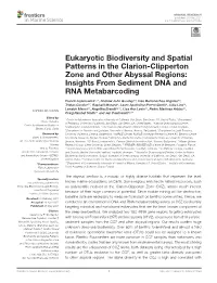 Eukaryotic Biodiversity and Spatial Patterns in the Clarion-Clipperton Zone and Other Abyssal Regions: Insights from Sediment DNA and RNA Metabarcoding