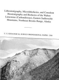 Lithostratigraphy, Microlithofacies, And