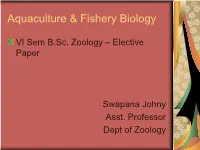 Prawn Culture Introduction