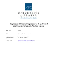 A Synopsis of the Marine Prosobranch Gastropod and Bivalve Mollusks in Alaskan Waters