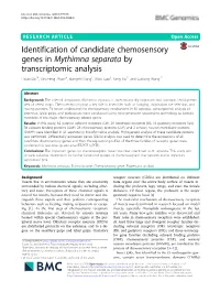 Identification of Candidate Chemosensory Genes in Mythimna Separata by Transcriptomic Analysis