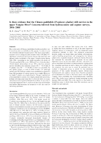 Is There Evidence That the Chinese Paddlefish (Psephurus Gladius) Still