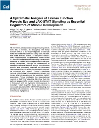 A Systematic Analysis of Tinman Function Reveals Eya and JAK-STAT Signaling As Essential Regulators of Muscle Development