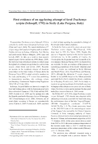 First Evidence of an Egg-Laying Attempt of Feral Trachemys Scripta (Schoepff, 1792) in Sicily (Lake Pergusa, Italy)