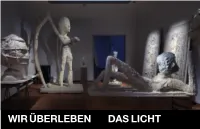 Wir Überleben Das Licht ART Johan Tahon