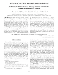Prehatch Intestinal Maturation of Turkey Embryos Demonstrated Through Gene Expression Patterns