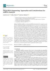 Small RNA-Sequencing: Approaches and Considerations for Mirna Analysis